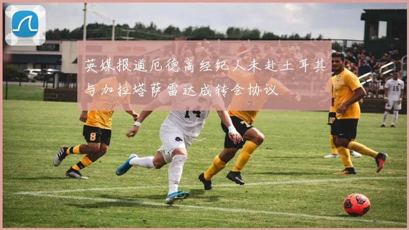 英媒报道厄德高经纪人未赴土耳其与加拉塔萨雷达成转会协议